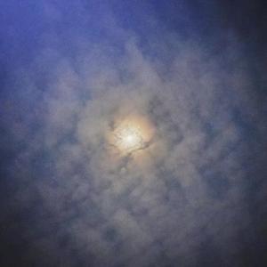 米塔光溜溜图片
